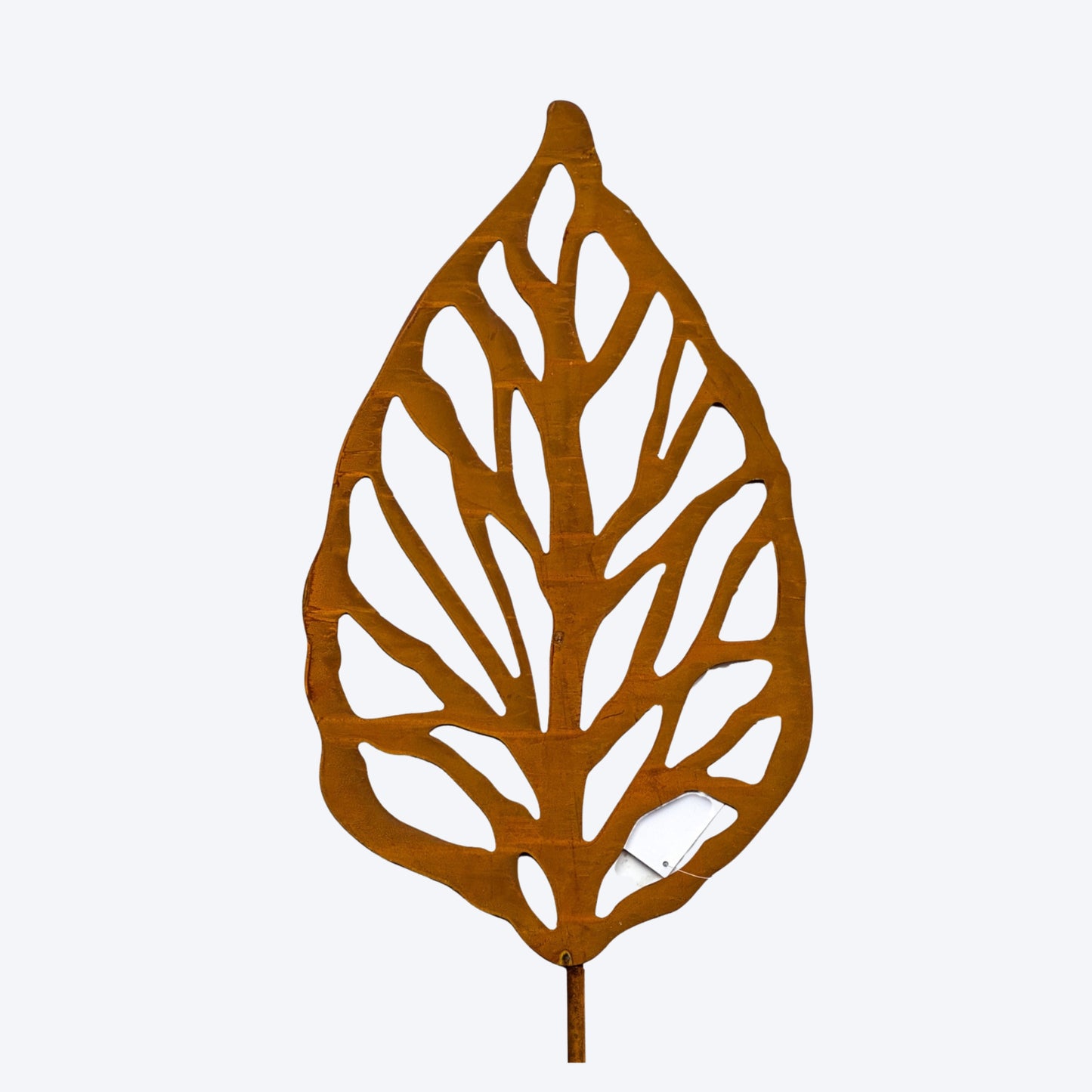 OMNI™ RUSTIC PALM LEAF B - LARGE (6 PER SET) - SA33