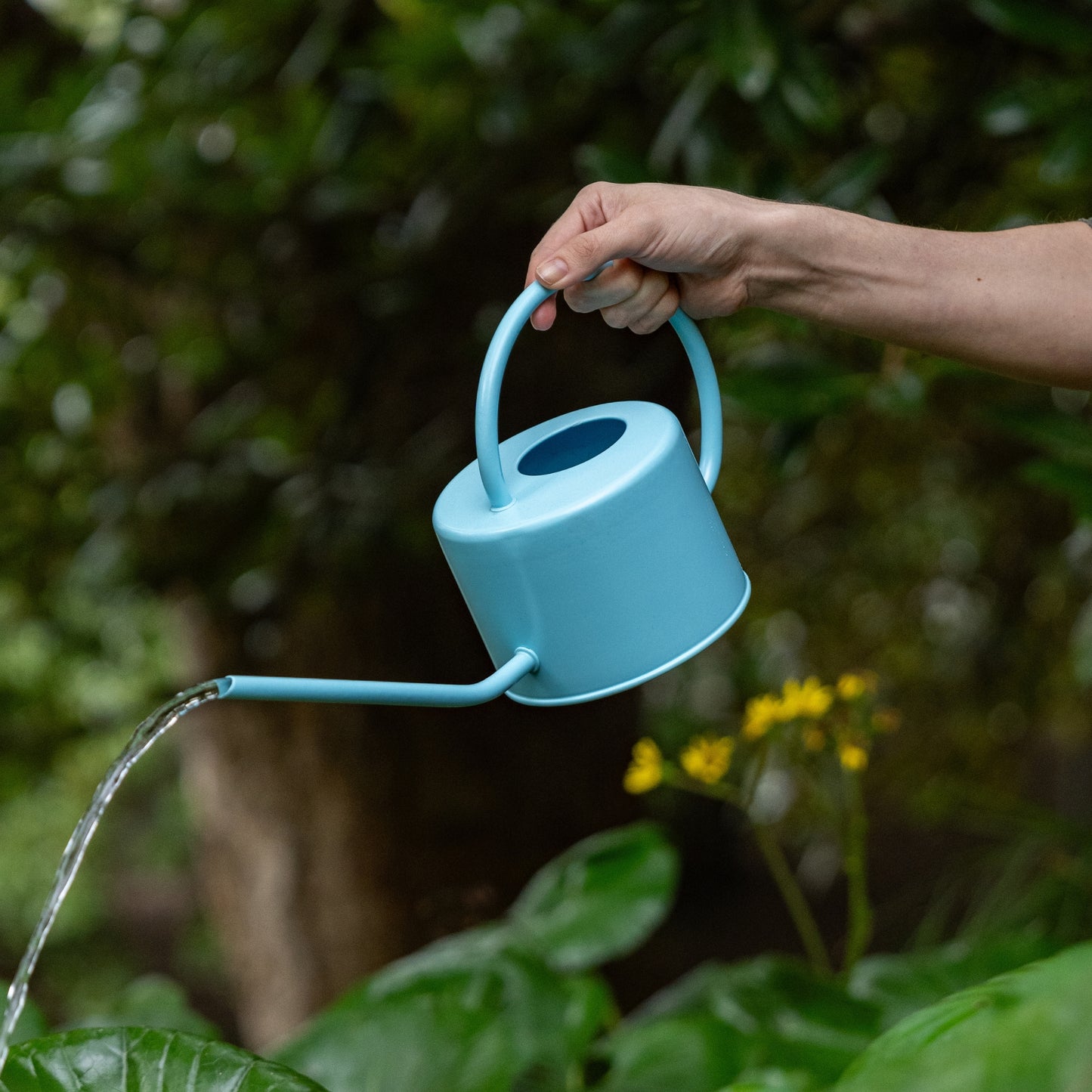RESENE GROW WATERING CAN 1L - SPRAY - RWC1SP