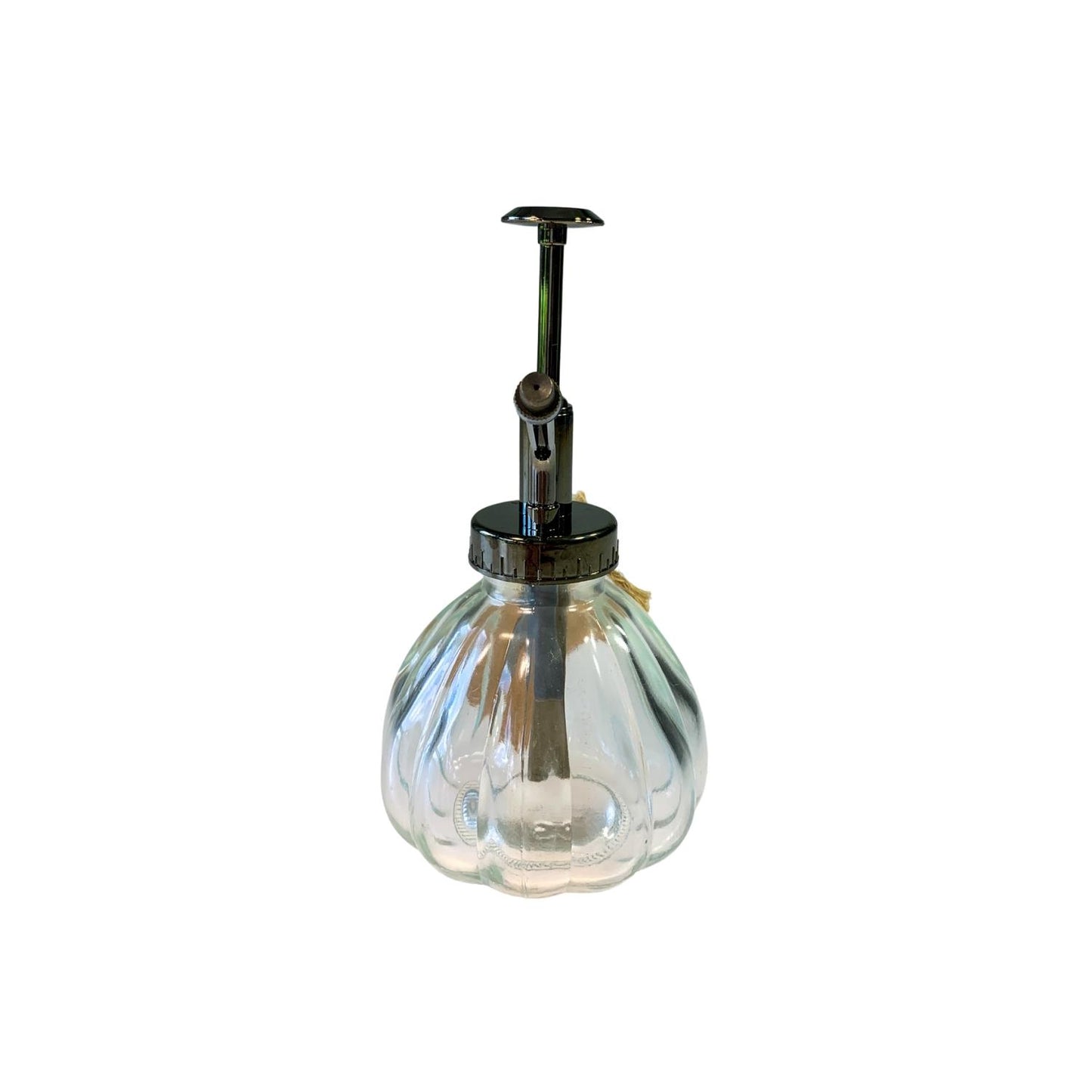 OMNI GLASS MISTER - WS1