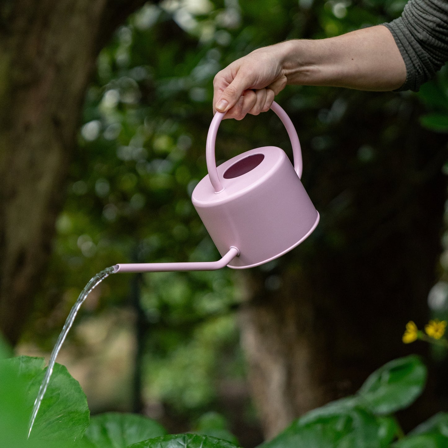 RESENE GROW™ WATERING CAN 1L - CUPID - RWC1CU