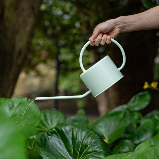 RESENE GROW™  WATERING CAN - SNOWY MINT - RWC1SM